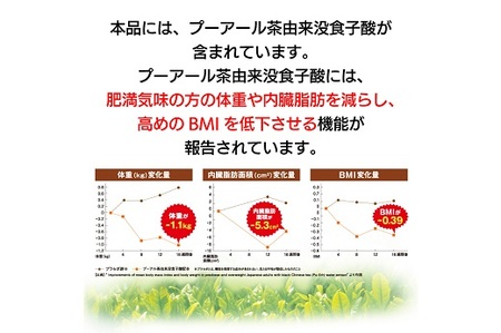 048-88　国産プーアール茶　SARYU-SOSO（5g×10ティーバッグ）×2袋セット　〈機能性表示食品〉