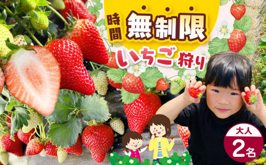 【2027年2月以降発送】先行予約 「いちご狩り体験チケット」入園券大人2名｜いちご 苺 ストロベリー レジャー 観光 デート お出かけ 体験 時間無制限 食べ放題 とちおとめ とちひめ 甘い 冬 おいしい 真岡 栃木県 送料無料