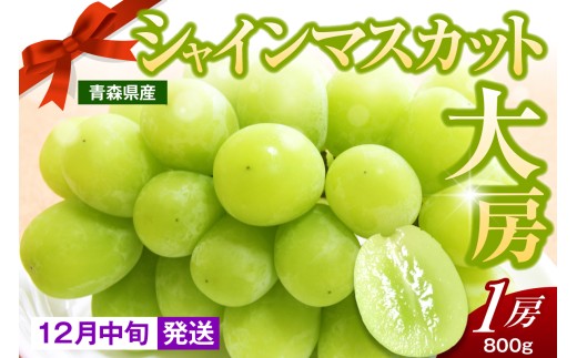 【2026年12月中旬発送】 シャインマスカット 大房 800g 青森産