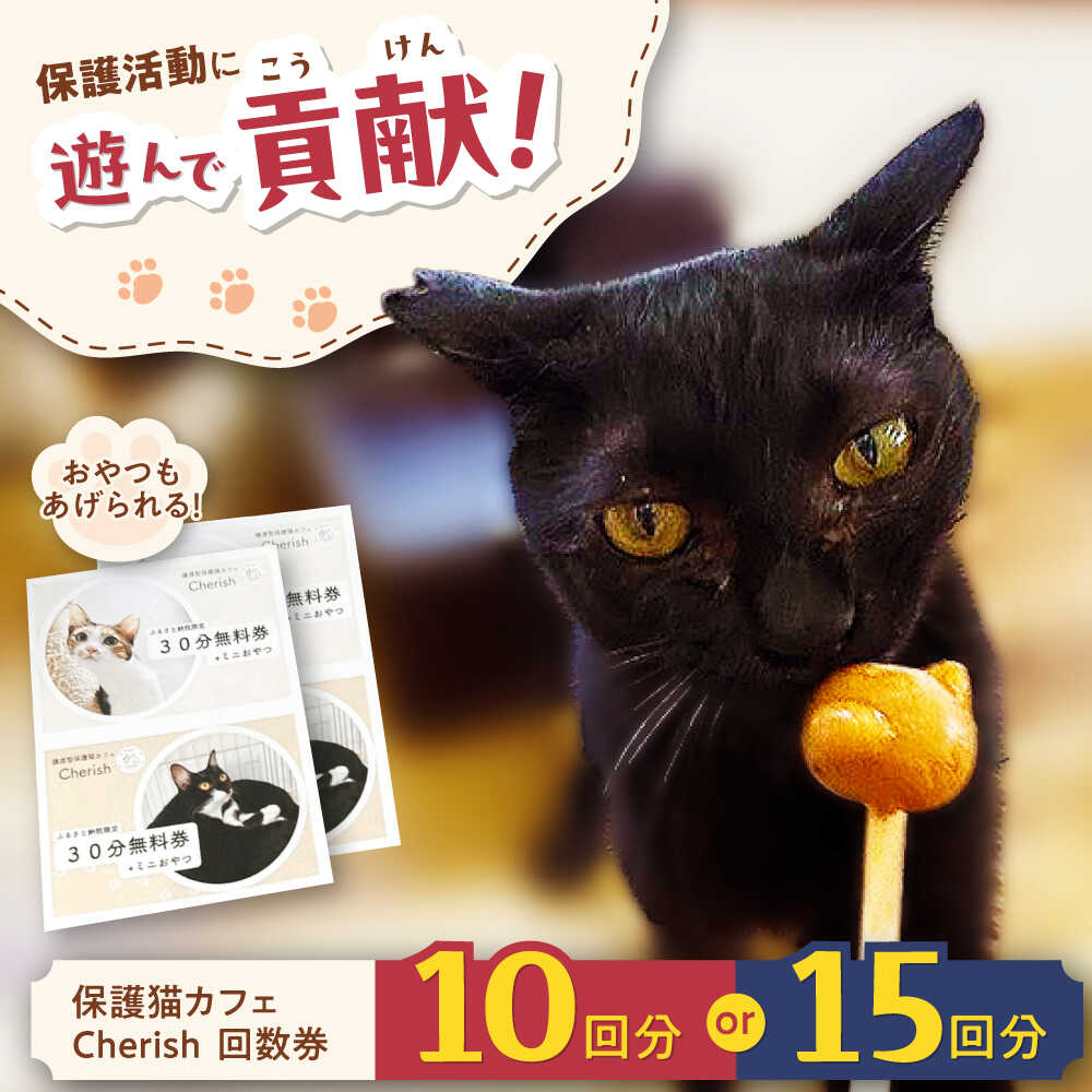 【ふるさと納税】【10回分or15回分】Cherish猫カフェ 回数券 猫 ねこ ネコ 保護 保護猫 支援 グッズ付き 動物愛護 応援 保護猫支援 カフェ 保護猫カフェ ギフト 贈り物 贈答 プレゼント 人気 おすすめ 大阪 高槻 高槻市 大阪府高槻市／特定非営利活動Cherish[AODU002]