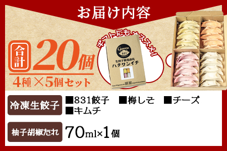 ＜国産野菜と県産豚肉をつかった冷凍生餃子4種食べ比べセット 4種×5個 計20個 オリジナル柚子胡椒タレ1個付＞ギョウザ ぎょうざ ギョーザ お試し【MI216-hc】【ハチサンイチ】