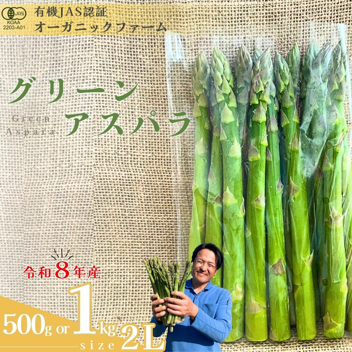 【ふるさと納税】【先行予約】オーガニック グリーンアスパラガス 2L 500g or 1kg | アスパラガス あすぱらがす アスパラ オーガニックアスパラ 有機JAS認証 グリーンアスパラ Lサイズ 新鮮野菜 産地直送 500g 1kg 春野菜 自然栽培 甘い ギフト 旬 お取り寄せ 山口県 宇部市