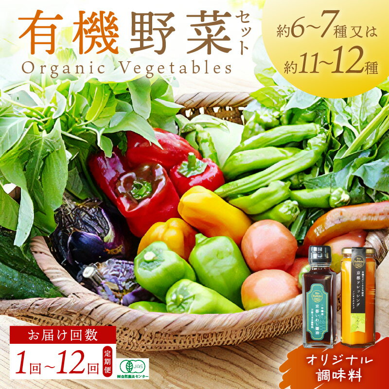 【ふるさと納税】有機JAS認証 ＜てんとうむしばたけ＞オーガニック野菜セット 有機野菜 6〜7種 2人用 11〜12種 4人用 定期便 調味料 ドレッシング 選べる 農家直送 京都直送 野菜 詰め合わせ 野菜セット 国産 京都産 ふるさと納税 野菜