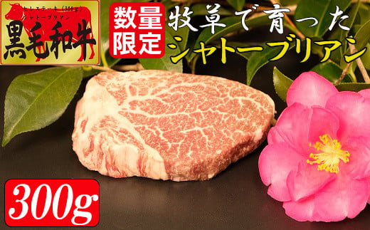 
数量限定 牧草で育った黒毛和牛 シャトーブリアン 牛肉 和牛 ステーキ 最高級 ふるさと納税 鹿児島産 大崎町
