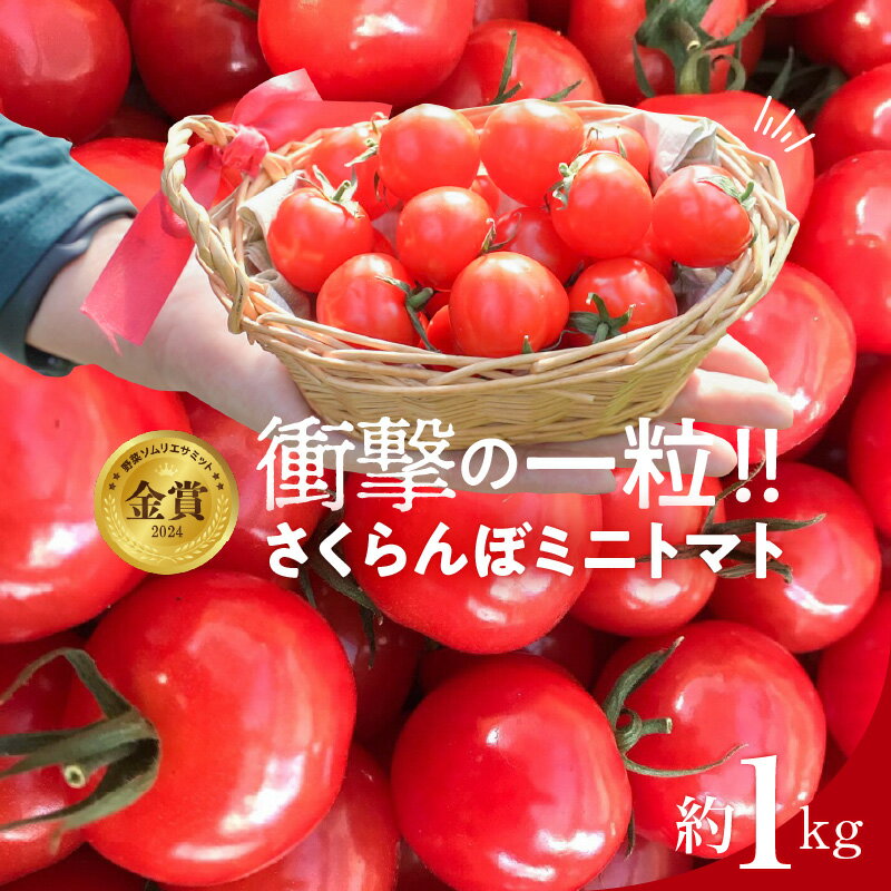 【ふるさと納税】高評価☆4.74 衝撃の一粒 奇跡のさくらんぼ ミニトマト 250g × 4パック 約 1kg 希少 トマト プチぷよ 野菜ソムリエサミット 金賞 受賞 新感覚 薄皮 甘い 濃厚 新鮮 こだわり 完熟 木熟 リコピン 長田農園 食べ物 野菜 お取り寄せ 愛知県 碧南市 送料無料