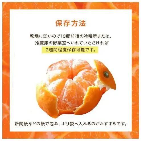 浜松市産 JAとぴあ浜松 ハウスとぴあみかん 秀Mサイズ 約2.5kg 約25個入り 糖度11度以上 みかん ミカン 静岡 浜松市