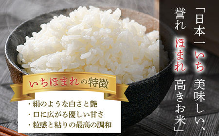 【令和5年産】いちほまれ 精米 2kg×3袋（計6kg）《お米マイスターが発送直前に精米！》／ 福井県産 ブランド米 ご飯 白米 新鮮 