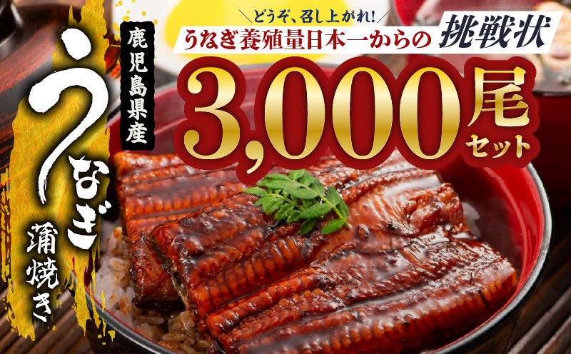 
2626 どうぞ、召し上がれ！うなぎ養殖量日本一からの挑戦状！【うなぎ蒲焼き3000尾】
