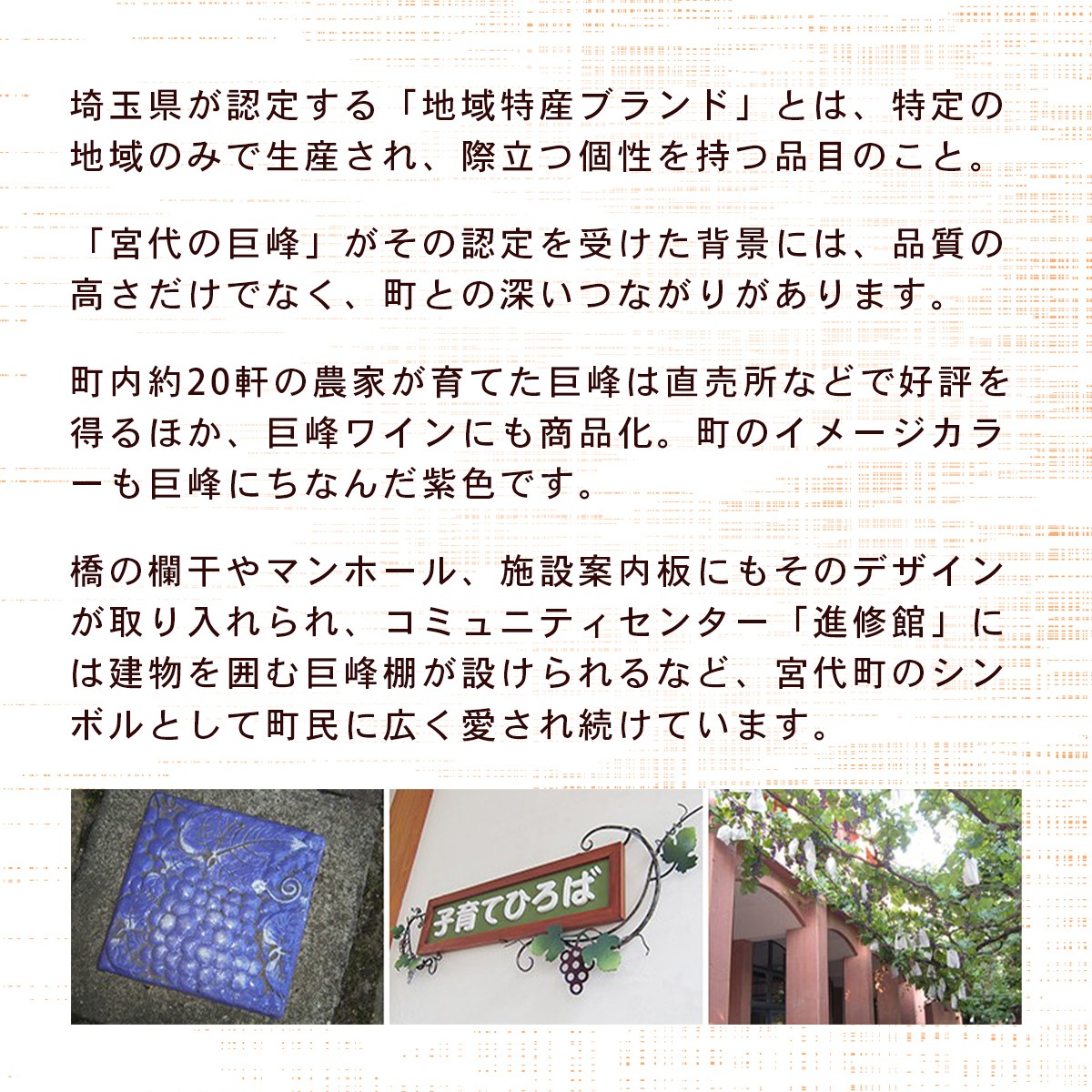 埼玉県が認定する地域特産ブランド、宮代の巨峰は巨峰ワインにも活用され、巨峰は宮代町のシンボルとして広く愛されています