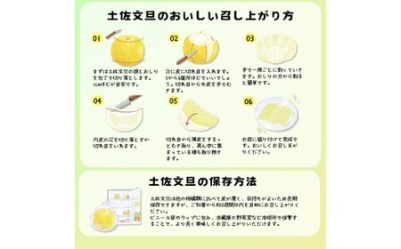 【先行予約】訳あり 温室土佐文旦 家庭用 5kg (8~12玉）〈2026年12月上旬から発送〉/文旦 ぶんたん ブンタン 土佐文旦 ハウス栽培 甘い 柑橘 フルーツ 果物 ご当地 産地直送 お取り寄