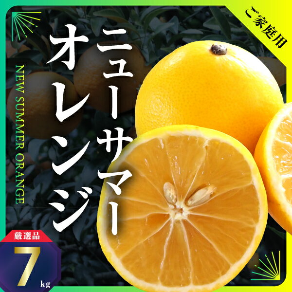 【ふるさと納税】ニューサマーオレンジ　約7kg(ご家庭用)【C31-26】_ 訳アリ わけあり ワケアリミカン みかん 日向夏 小夏 フルーツ 果物 くだもの 家庭用 人気 柑橘 かんきつ 不揃い 規格外 傷 愛媛 旬 産地直送 産直 季節限定 【1103591】 YWTAC016