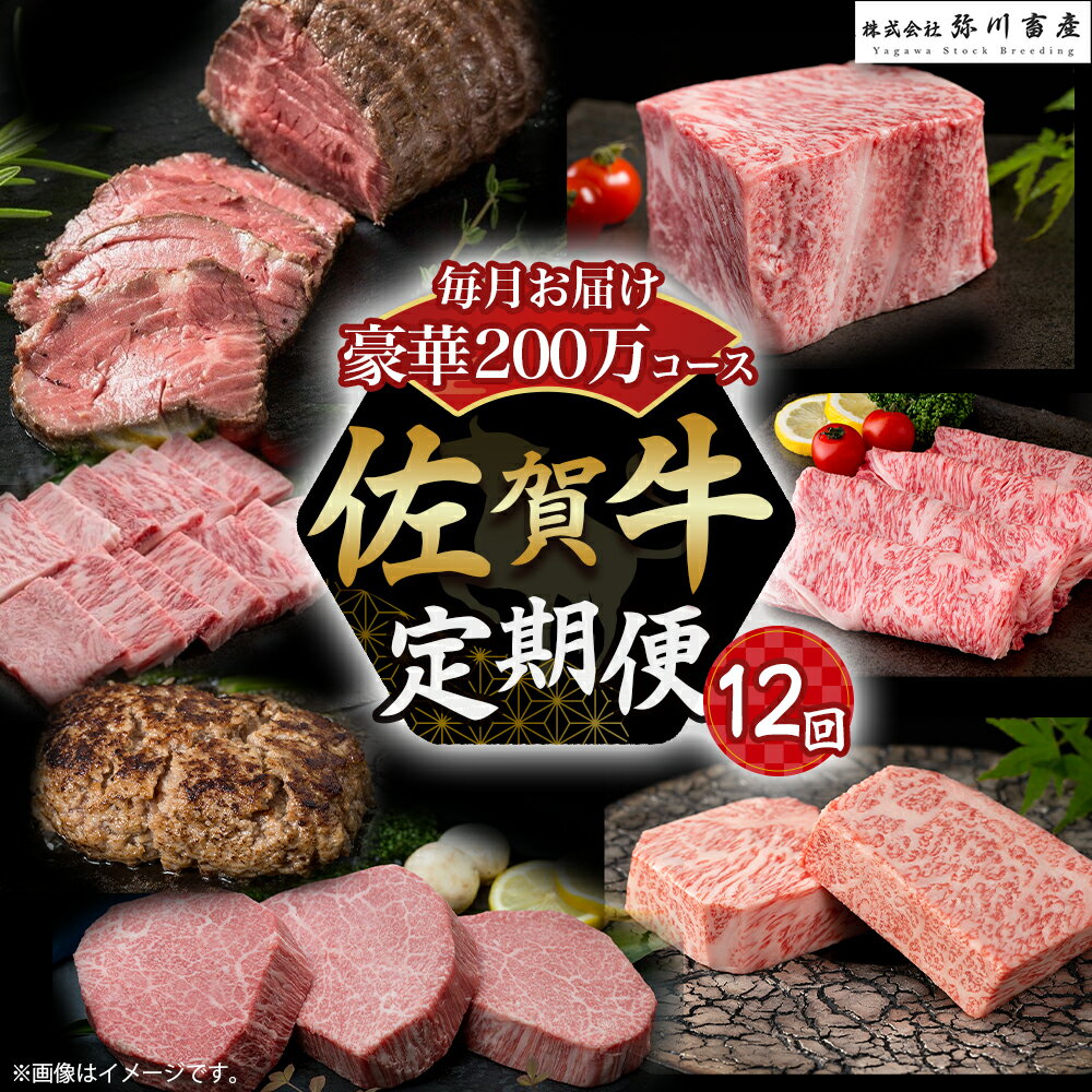 【ふるさと納税】佐賀牛 極上！12回定期便 佐賀牛 ブランド牛 国産牛 牛肉 肉 定期便 佐賀県 太良町 ZAP1