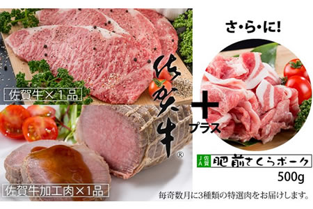 【定期便】 (年6回/隔月お届け) 佐賀牛with肥前さくらポーク お肉の定期便 奇数月 Q250-001