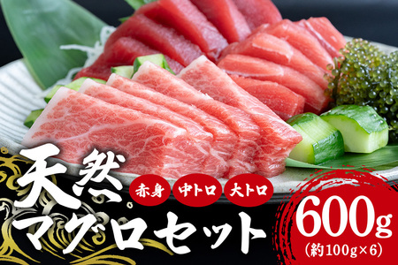 沖縄県産「旬の天然本マグロ」をお届け！天然本マグロセット 600g 99-5