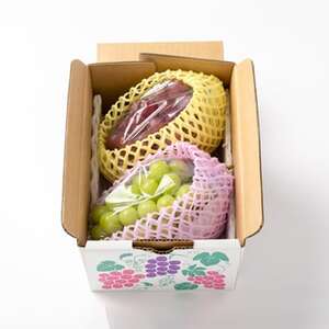 クイーンルージュ＆シャインマスカット　2房セット【配送不可地域：離島】【1436453】