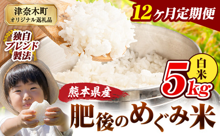 白米 12か月定期便 肥後のめぐみ 5kg 精米