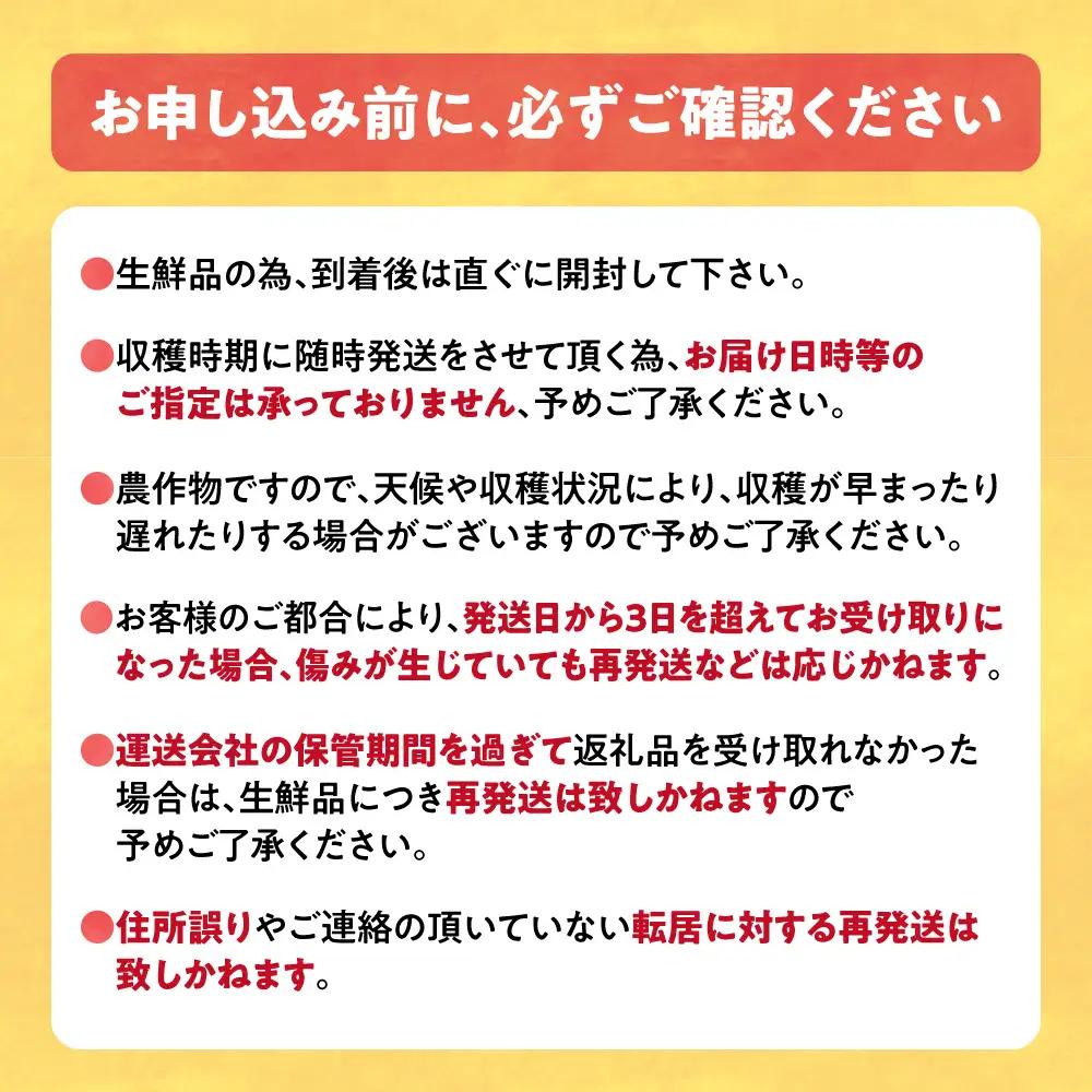 北海道当別町産化学農薬不使用ミニトマト フラガール1.5kg | 北海道産 トマト 野菜 大容量 北海道 当別町