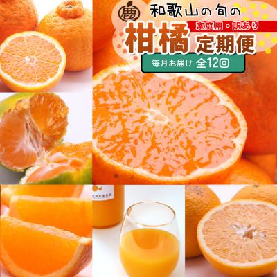 ふるさと納税 広川町 【発送月固定定期便】家庭用 柑橘定期便M(毎月)全12回