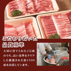 玉城豚BBQセット[玉城豚 焼き肉 ドイツウインナー]