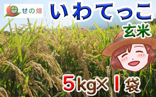 
【2024年11月発送開始】 令和6年産 新米 岩手県産 いわてっこ 玄米 5kg×1袋 ／ 米 産地直送 農家直送 【せの畑】
