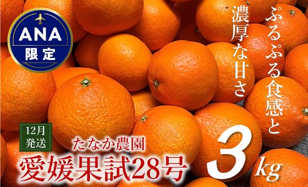 愛果28号 3kg ご家庭用 農園直送 先行予約 12月発送 愛媛 数量限定 愛媛県産 人気 柑橘 伊予市｜B310