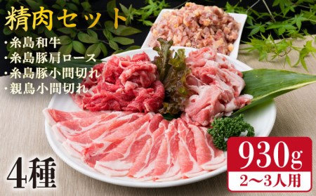 牛肉 豚肉 鶏肉 日常使いの精肉セット 930g 2-3人前 4種 糸島市/糸島ミートデリ工房[ACA192]