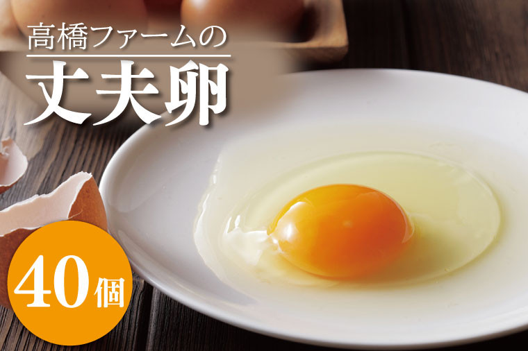 
            国産たまご「高橋ファームの丈夫卵」40個入り｜平飼い鶏舎 卵 玉子 タマゴ 鶏卵 朝食 生卵 卵かけごはん (AQ003-1)
          
