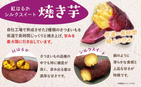 【3ヶ月定期便】芋國屋 流山市産 紅はるか シルクスイート スイーツセット A 