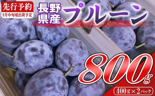 [2026年発送]【9月上旬～中旬発送】信州 佐久市産 プルーン 約800g（400g×2パック）(北海道・沖縄・離島は配送不可)　サンプルーン 果物 フルーツ くだもの 生プルーン 産地直送 旬彩 [やなぎさわ農園]
