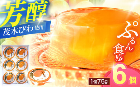 長崎特産「茂木びわゼリー」(6個入り) / びわゼリー ゼリー びわ ビワ 枇杷  茂木びわ / 諫早市 / 橋本屋本舗 [AHCP003]