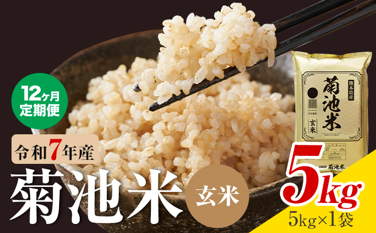 【12ヶ月定期便】熊本県産 菊池米 玄米 5kg 1袋5kg 米 お米 令和7年産 九州産 熊本県産  送料無料《お申込み翌月に出荷予定》玄米 米---026-5042---