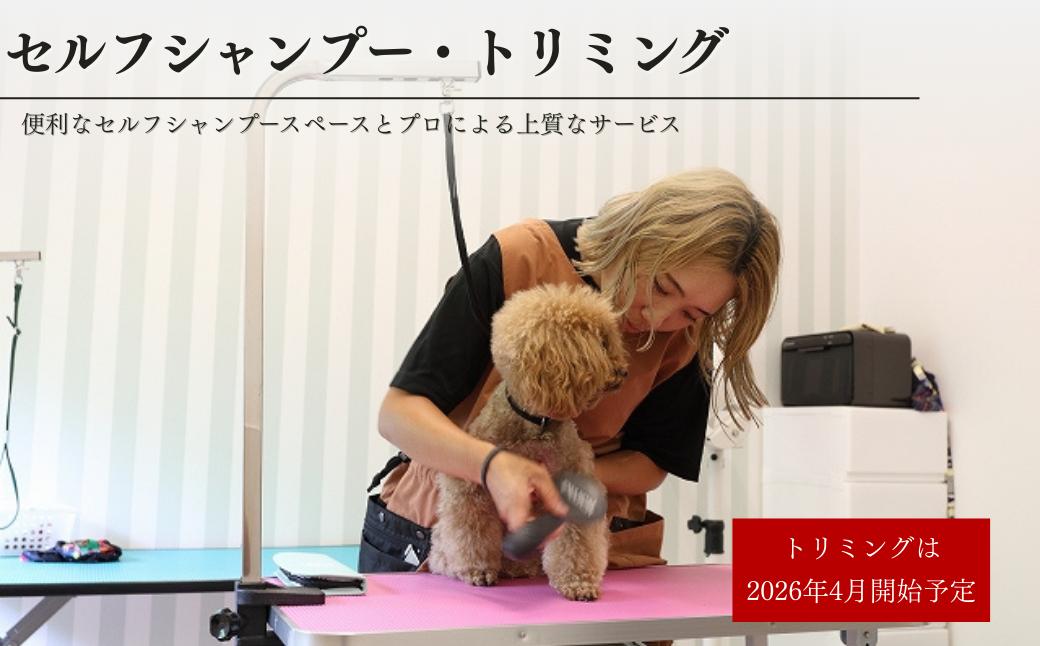 セルフシャンプー・トリミング