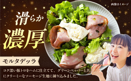 TESIOの自家製ハム＆ソーセージ 『手始めTESIOセット』 豚肉 ハム ソーセージ 小分け 真空パック 沖縄市 / TESIO[BCAD001]
