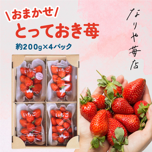 MI-03 とっておき苺【約200g×4パック】