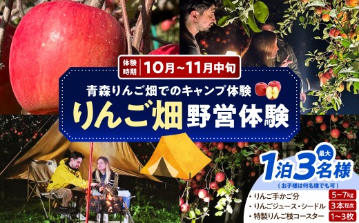 野営体験　りんご畑でのキャンプ体験 1泊分（リンゴ品種おまかせ5kg～7kg、りんごジュース／シードル計３本程度、りんごの木のスウェーデントーチとコースター）青森県五所川原市 トキあっぷる社