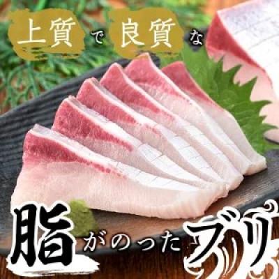 ふるさと納税 垂水市 【鹿児島産ぶり冷凍】ぶりスライス 2p(刺身・しゃぶしゃぶ用) A1-47192 |  | 02