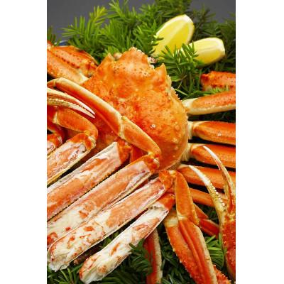 ふるさと納税 森町 北海道森町水揚げずわいがに4尾(約550〜650g) |  | 01