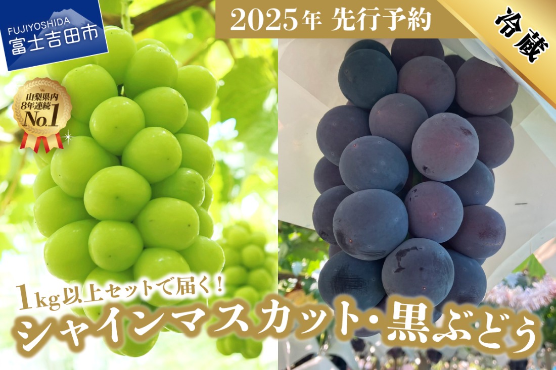 黒【2025年先行予約】ジューシーで甘さ抜群 池田青果の厳選 シャインマスカットとぶどうセット (約1kg以上)  シャインマスカット 山梨県産 ぶどう 果物 フルーツ 旬 高級 山梨 富士吉田 フルーツ 富士吉田市