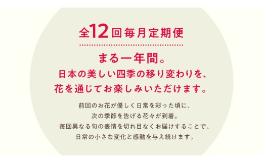 【お花の 定期便 】「毎月」届く、季節の フラワー アレンジメント ( 合計 12回 ) 花 生花 お祝い 結婚祝い 誕生日 プレゼント ギフト フラワーギフト [CY005sa]