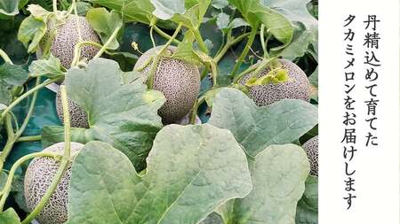 【先行予約】【訳あり】メロン タカミメロン 秀品 3-5玉 約5.5kg 八千代町産