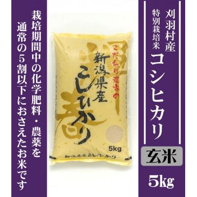 ふるさと納税 刈羽村 【新潟特別栽培米】【玄米】刈羽村産コシヒカリ 5kg