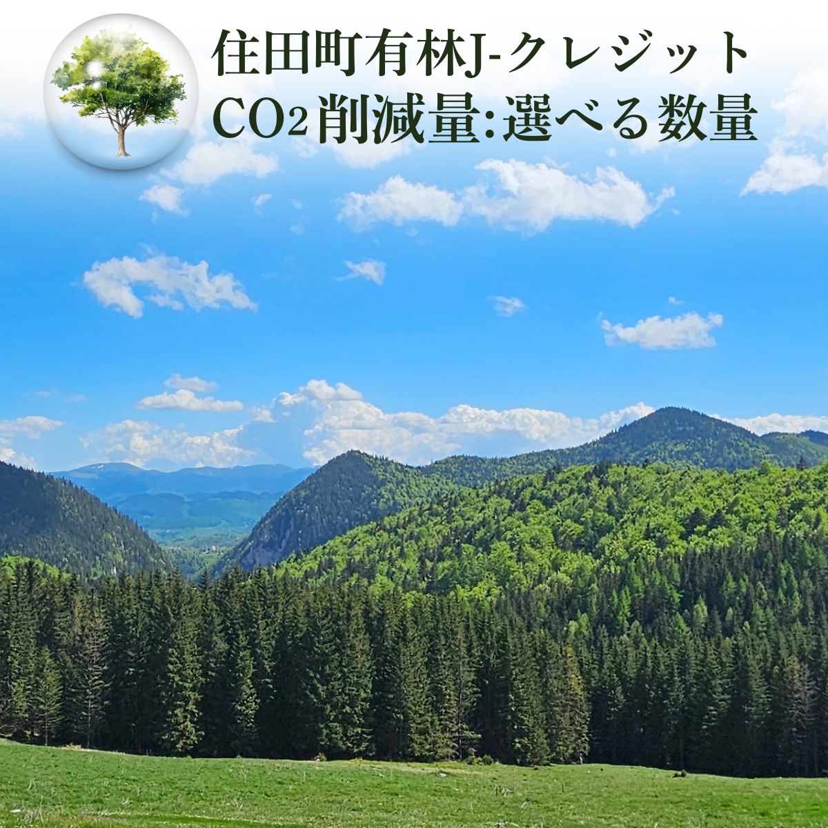 【ふるさと納税】「森林・林業日本一のまちづくり」住田町の町有林（FSC森林認証取得）J-クレジット 選べる数量 二酸化炭素 排出削減 環境保全 森林環境 森林保全 森林整備 エコ 岩手県 [#0160_sum]