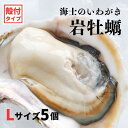 【ふるさと納税】【いわがき 殻付き Lサイズ 5個】 岩牡蠣 生食可 冷凍 牡蛎 牡蠣 かき カキ 岩牡蠣 いわがき 冷凍 父の日 母の日 バーベキュー ギフト