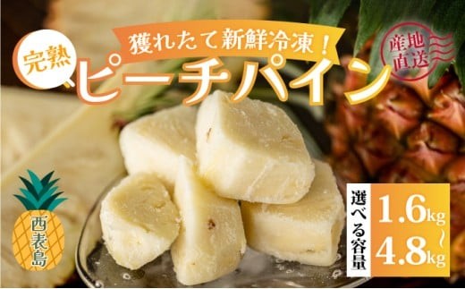 
            ＜選べる内容量＞穫れたて新鮮冷凍！西表島の完熟ピーチパイン 1.6kg～4.8kg 嘉本商店 完熟 果物 フルーツ
          