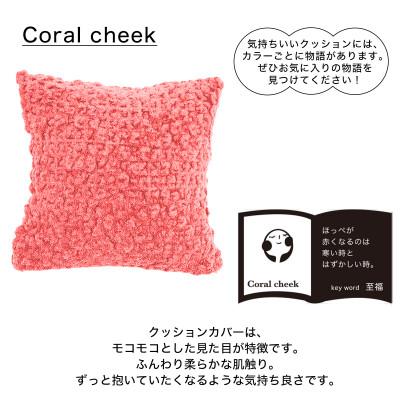 ふるさと納税 三木市 MOGU 気持ちいいクッション Coralcheek(コーラルチーク) |  | 01