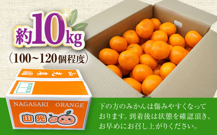 〈先行予約〉【11月中旬頃～1月中旬配送】長崎県産 温州みかん 約10kg 大村市 山光農園 [ACAI003]