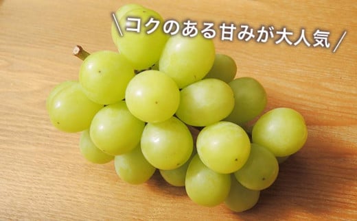 糖度が高く、コクのある甘みとマスカットならではの上品な香りをお楽しみいただけます。