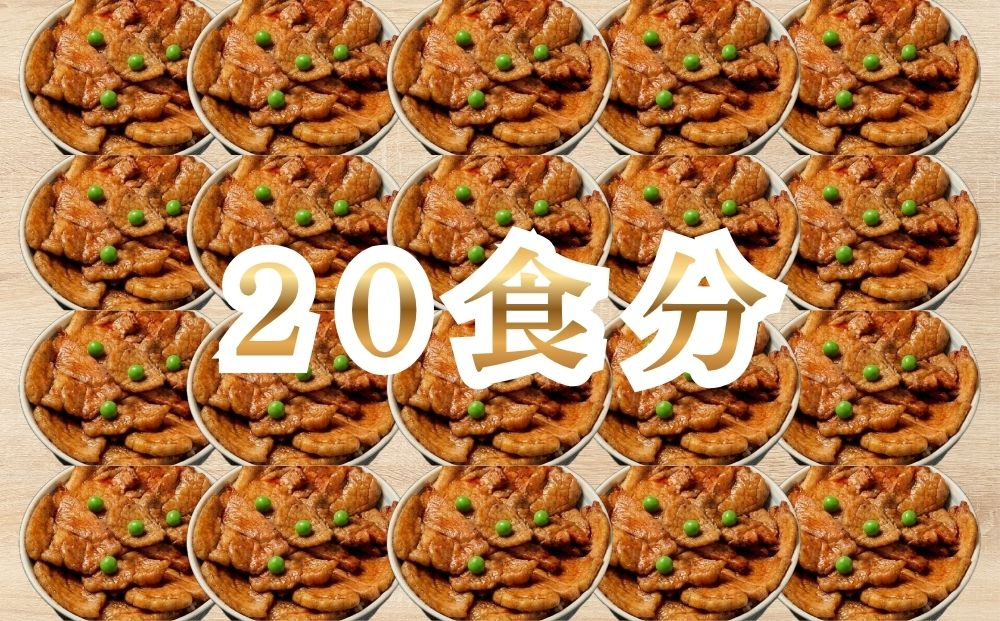ホクレン 北海道 の ぶた丼 250g ( 2食入り ) × 10p