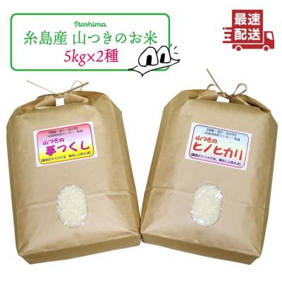 ふるさと納税 糸島市 福吉産のお米 ・ 2品種 セット 糸島市 / 二丈赤米産直センター [ABB011]