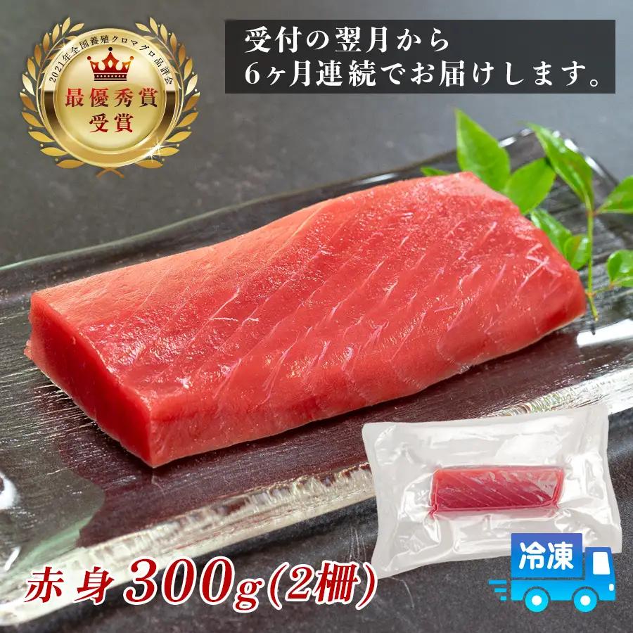 訳あり まぐろ マグロ 本鮪 黒潮本まぐろ 赤身 定期便 6回 300g × 6回 刺身